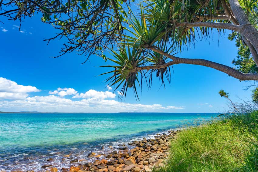 Noosa National Park Walk