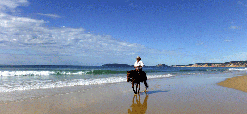 Rainbow Beach Horse Rides01