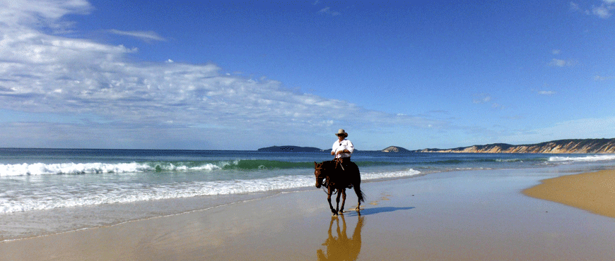 Rainbow Beach Horse Rides01