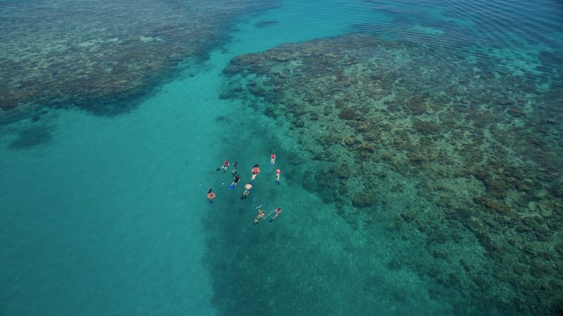 Ocean Freedom At "wonder Wall" Outer Edge Upolu Reef