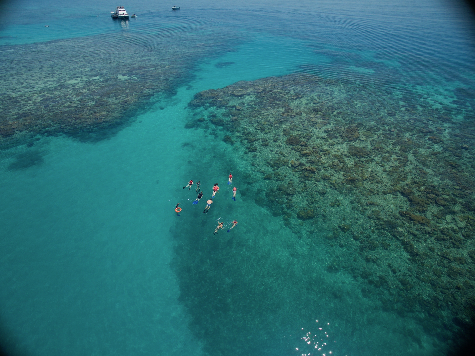 cairns premier reef & island tours