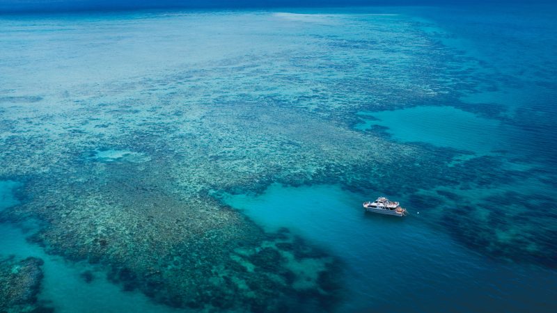 Ocean Freedom On Outer Edge Upolu Reef Cairns Copy