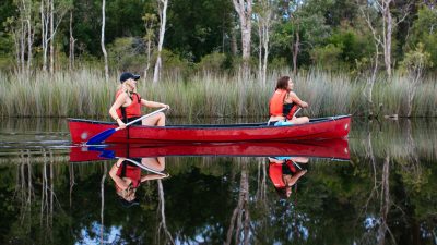 Reflections Paddling Through The Noosa Everglades